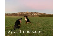 Spaziergang mit den Hunden mit Blick auf Hirschberg