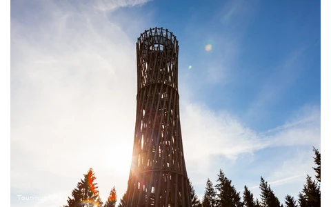 Das Wahrzeichen der Sauerland-Waldroute: Der Lörmecke-Turm