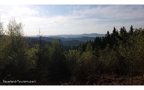 Blick über das Naturpark Arnsberger Wald