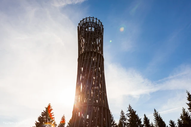 Der Lörmecke-Turm im Naturpark Arnsberger Wald